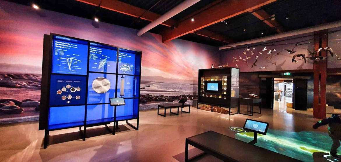 Ecomare, Nature Museum on Texel, Netherlands.