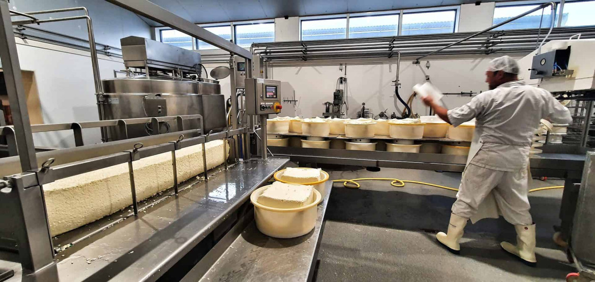 Cheese production at the Kaasboerderij, Cheese Farm Wezenspyk on Texel, Netherlands.