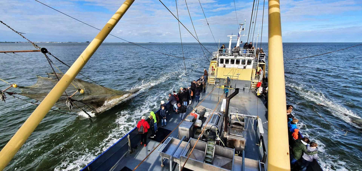 Onboard the shrimp cutter TX10 Emmie at Oudeschild on Texel, Netherlands.