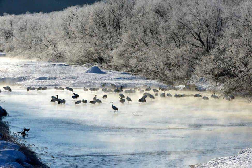 Good Reasons to Visit Japan in the Winter - Travel Dudes