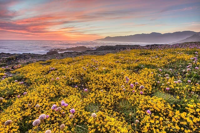 Interesting Facts About California - Travel Dudes