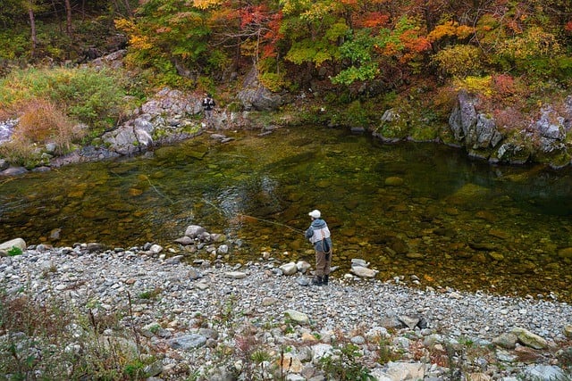 North America Trout and Salmon Fishing