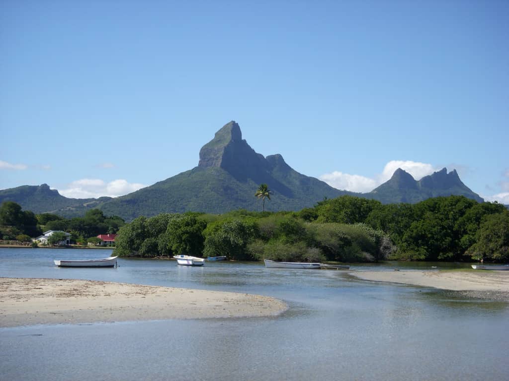 Uploaded image