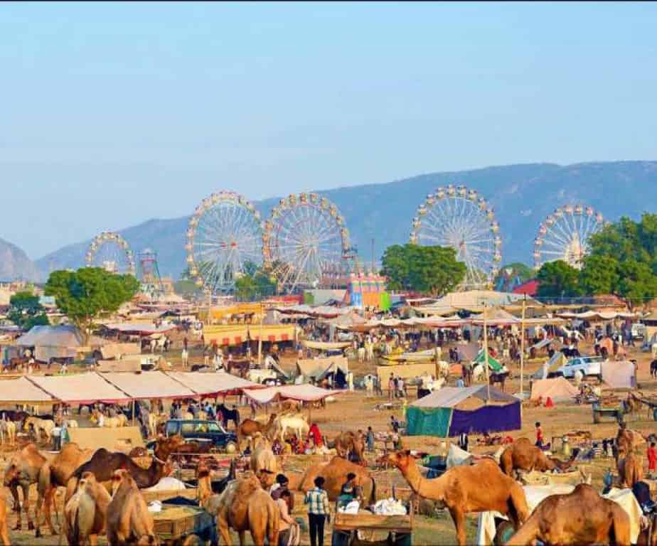 Pushkar mela